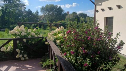 Dworek Czersk, widok na budynek i ogród