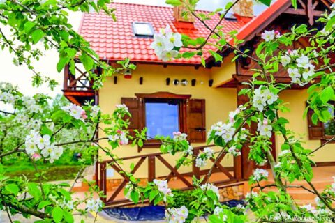 Dworek Czersk, gospodarstwo agroturystyczne nad Jeziorem Czerskim