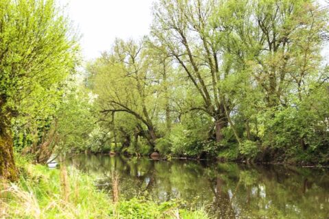 Dworek Czersk, gospodarstwo agroturystyczne nad Jeziorem Czerskim