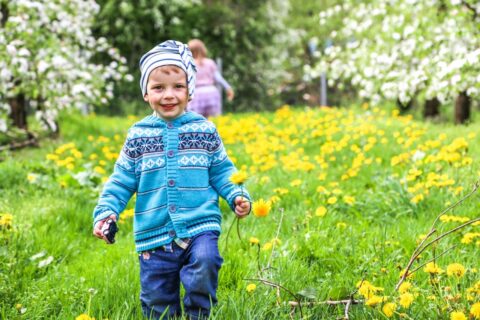 Dworek Czersk, gospodarstwo agroturystyczne nad Jeziorem Czerskim