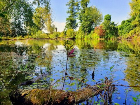 Dworek Czersk, gospodarstwo agroturystyczne nad Jeziorem Czerskim