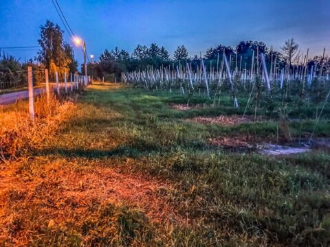 Dworek Czersk, gospodarstwo agroturystyczne nad Jeziorem Czerskim
