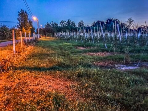 Dworek Czersk, gospodarstwo agroturystyczne nad Jeziorem Czerskim