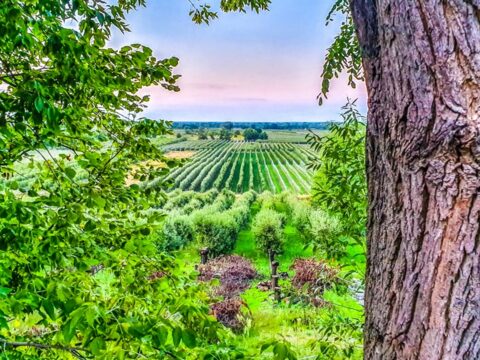 Dworek Czersk, gospodarstwo agroturystyczne nad Jeziorem Czerskim