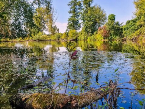 Dworek Czersk, gospodarstwo agroturystyczne nad Jeziorem Czerskim