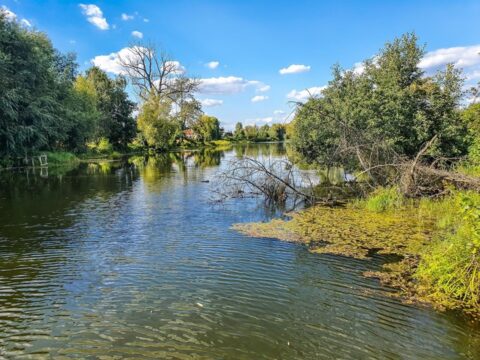 Dworek Czersk, gospodarstwo agroturystyczne nad Jeziorem Czerskim